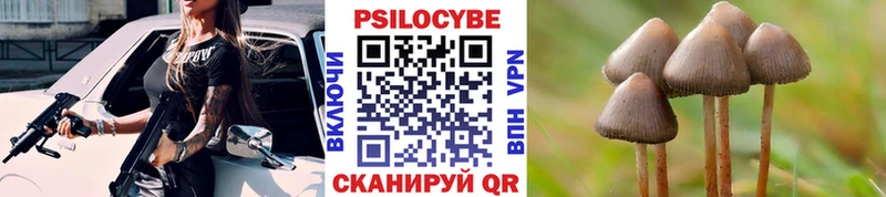 OMG ссылка Топки Галлюциногенные грибы Cubensis